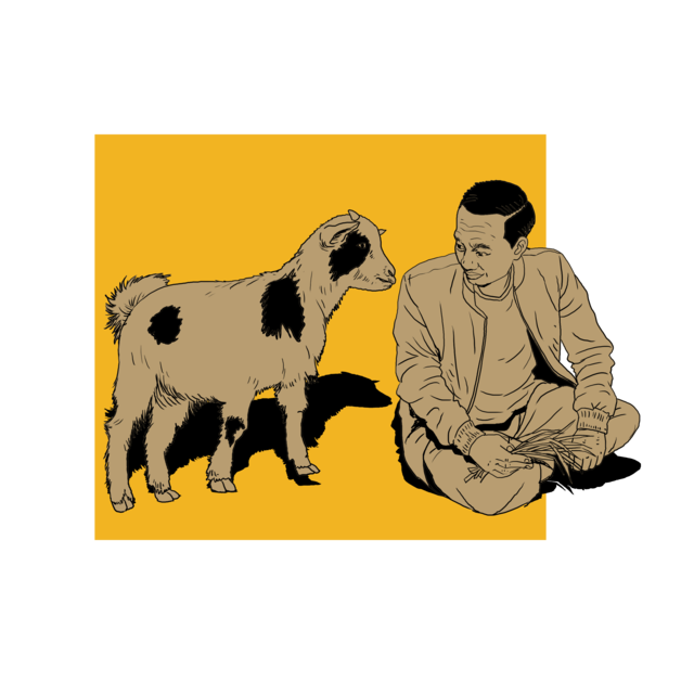 Presiden Joko Widodo